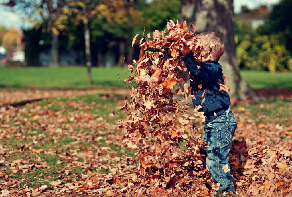 budget friendly fall Even throwing leaves in the air like this cute little boy can be one of the fun activities for single moms this season.