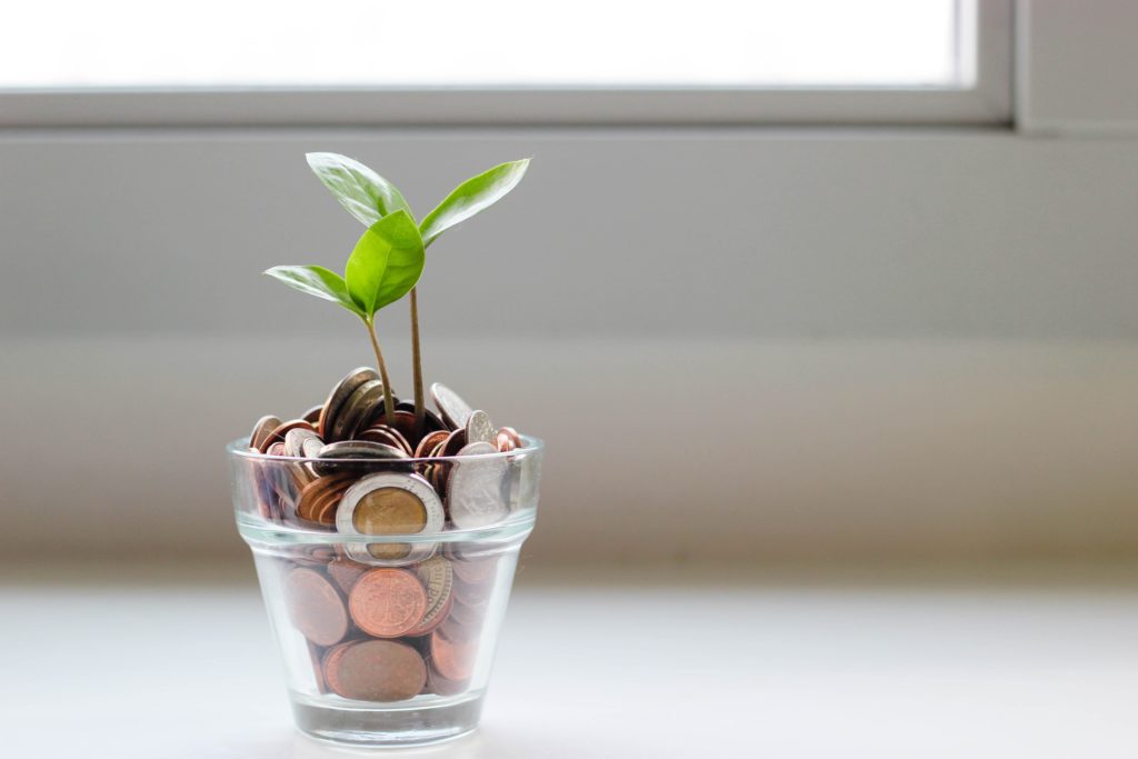 A seedling "planted" in a glass jar of coins. Learn how to plant your financial seedling through tips shared by today's divorce expert on financial divorce planning.