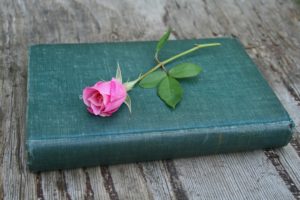 This pink rose on a vintage book could represent what it means to be living happily ever after divorce.